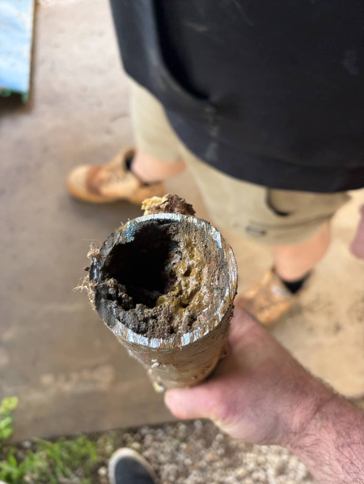 Blocked drain cleared in Adelaide showing tree root damage