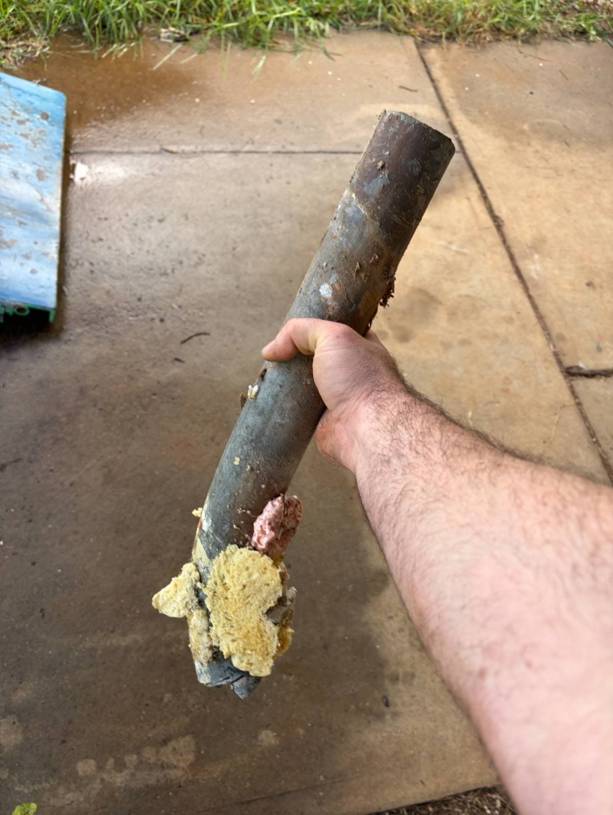 Blocked drain section removed from an Adelaide property